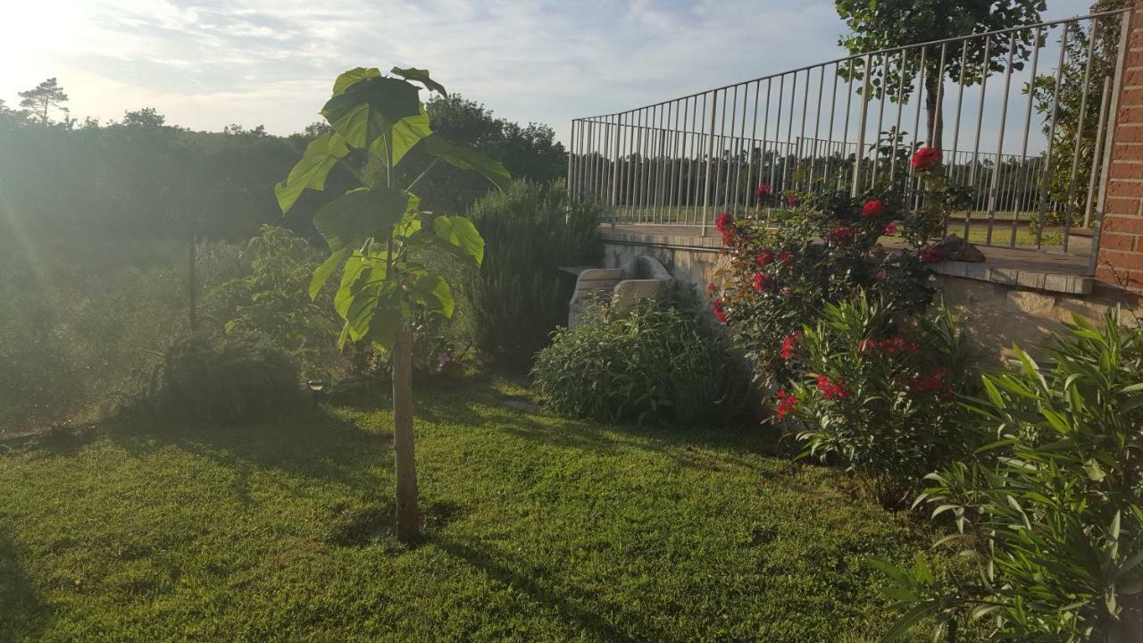 Villa Casa la Pineta Pievescola Exterior foto